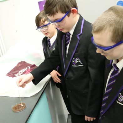 tsa_Year8Science (20)